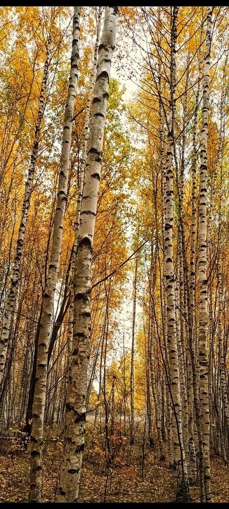 Photograph by Татьяна Исаева