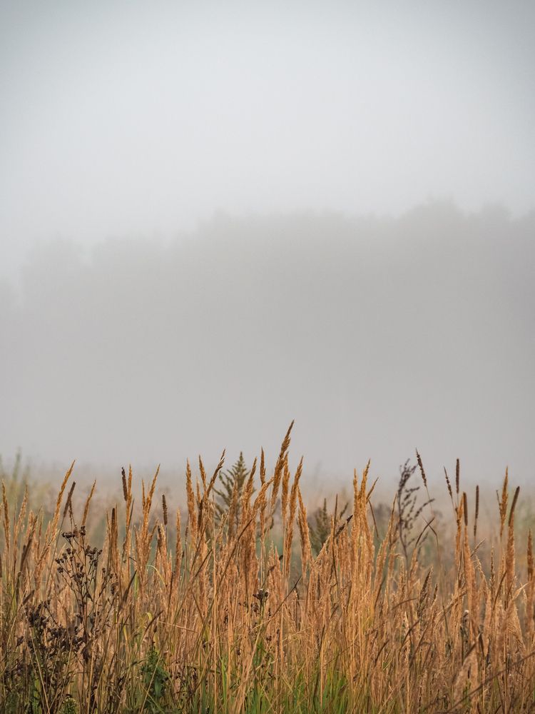 Photograph by Виталий Шмачко