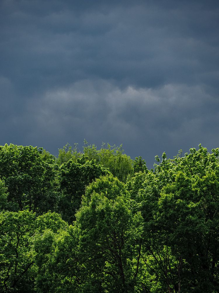 Photograph by Виталий Шмачко