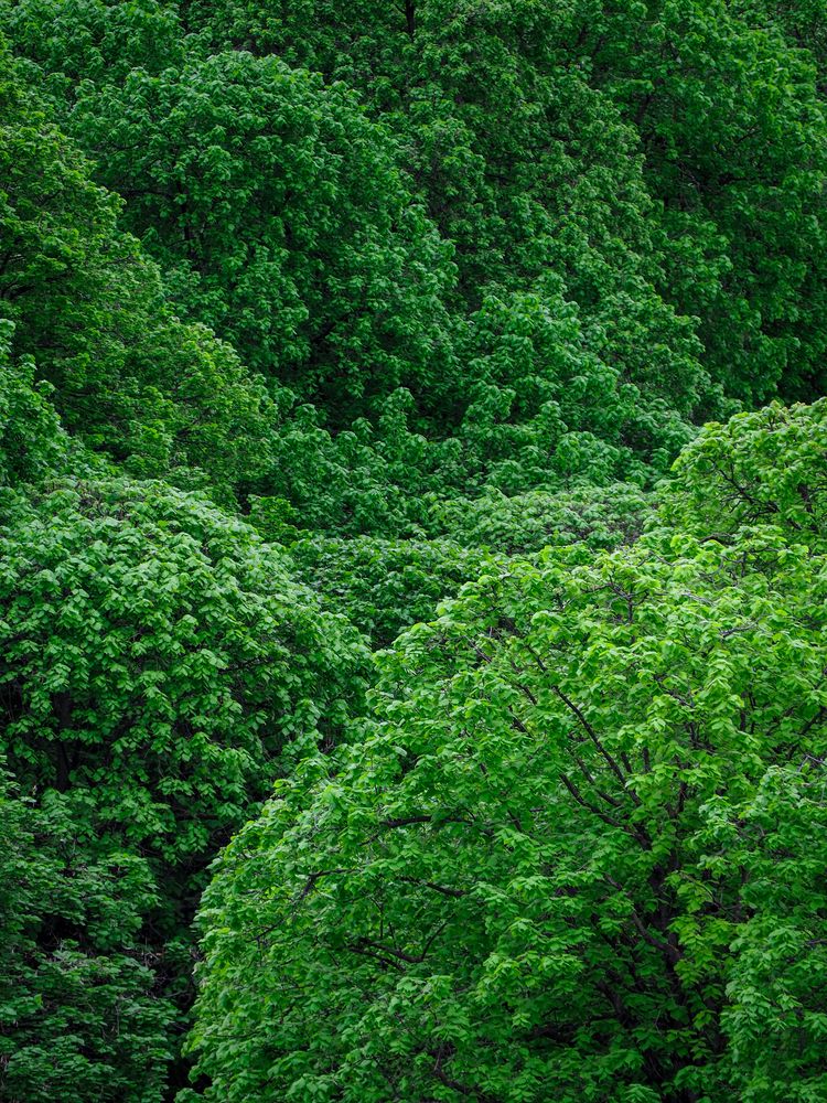 Photograph by Виталий Шмачко