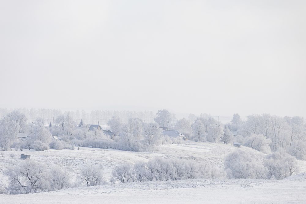 Фотография автора Дмитрий Новиков