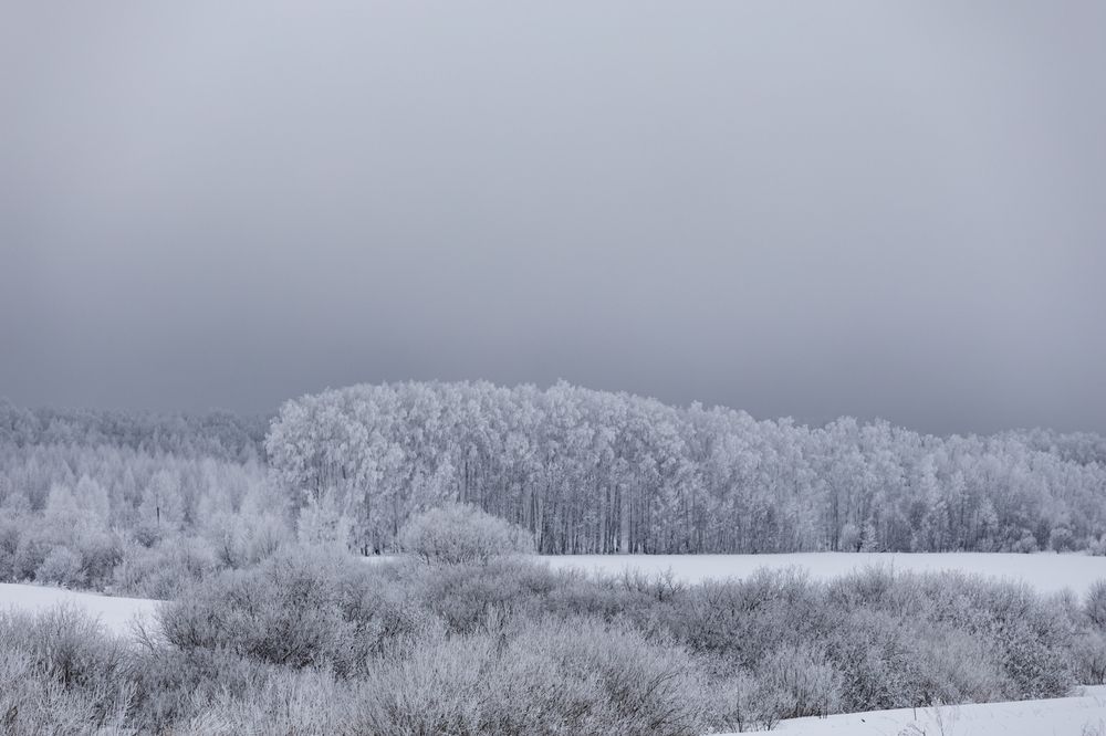 Фотография автора Дмитрий Новиков