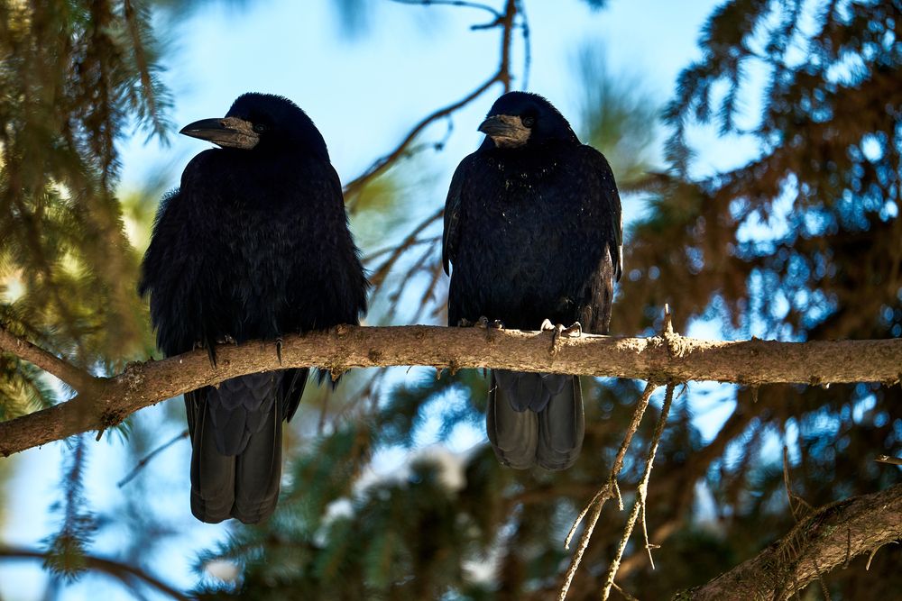 Photograph by Ярослав Сергеевич