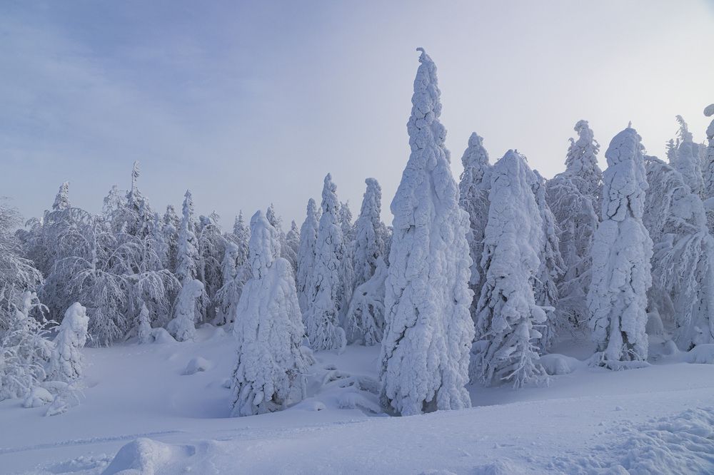 Фотография автора Каргин Валерий