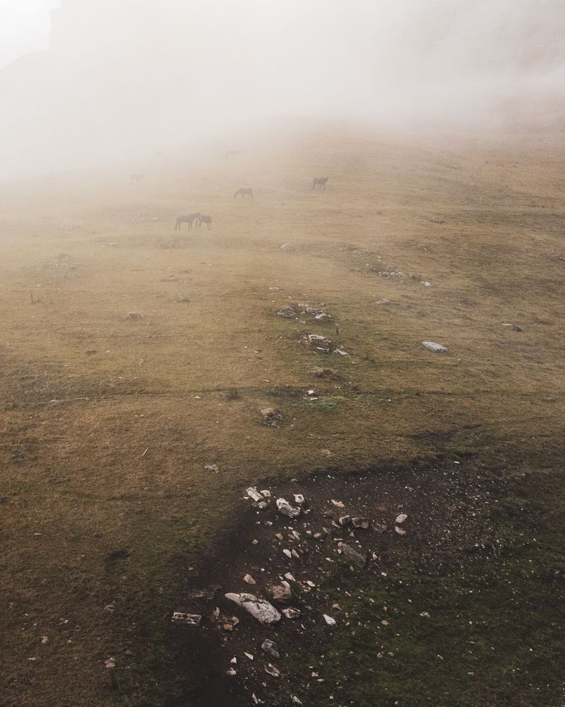 Фотография автора Андрей Уваров