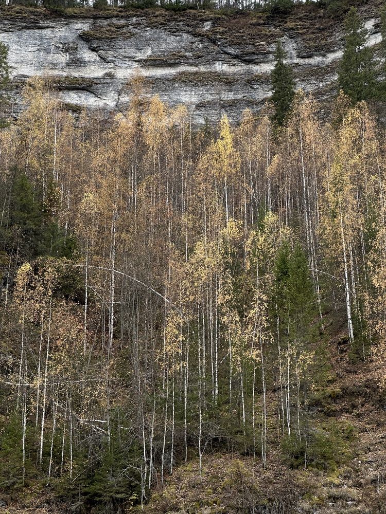 Photograph by Анастасия Конина