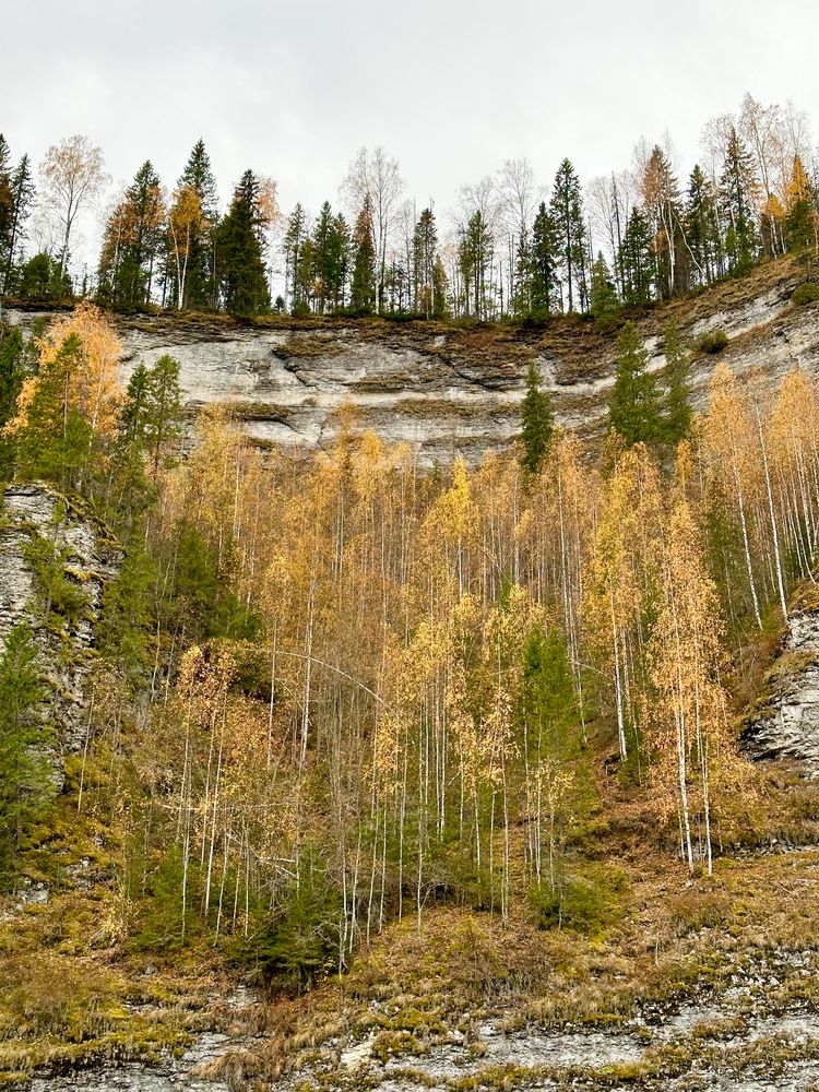 Photograph by Анастасия Конина