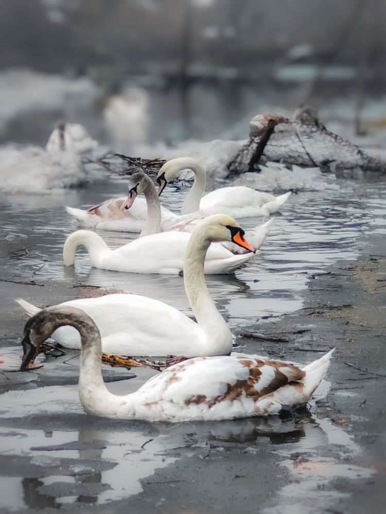 Photograph by Yuliya Karpova