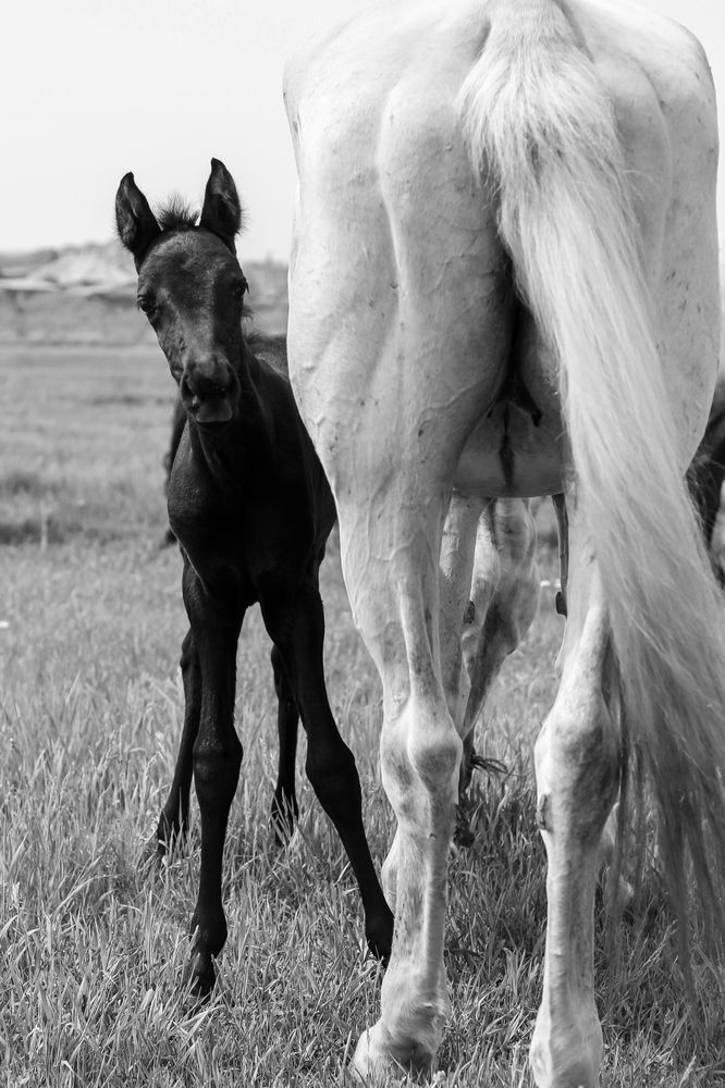 Природный контраст