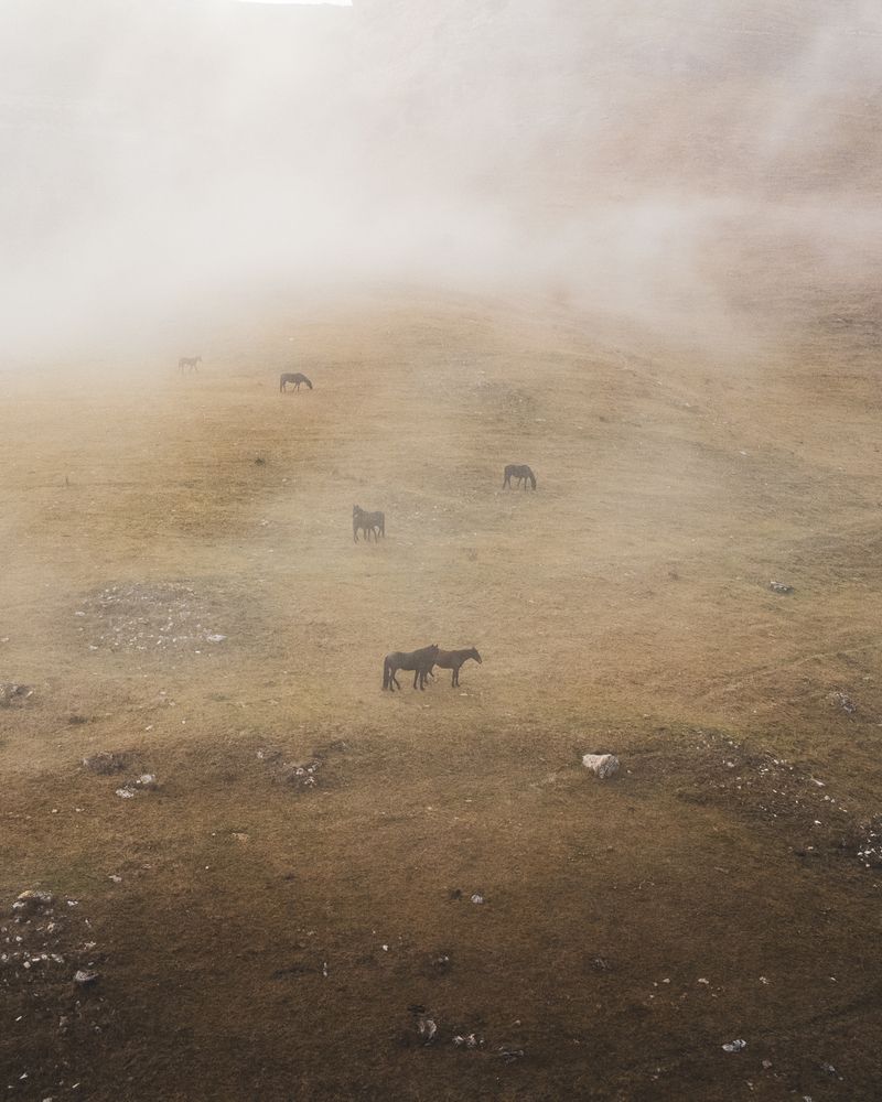 Фотография автора Андрей Уваров