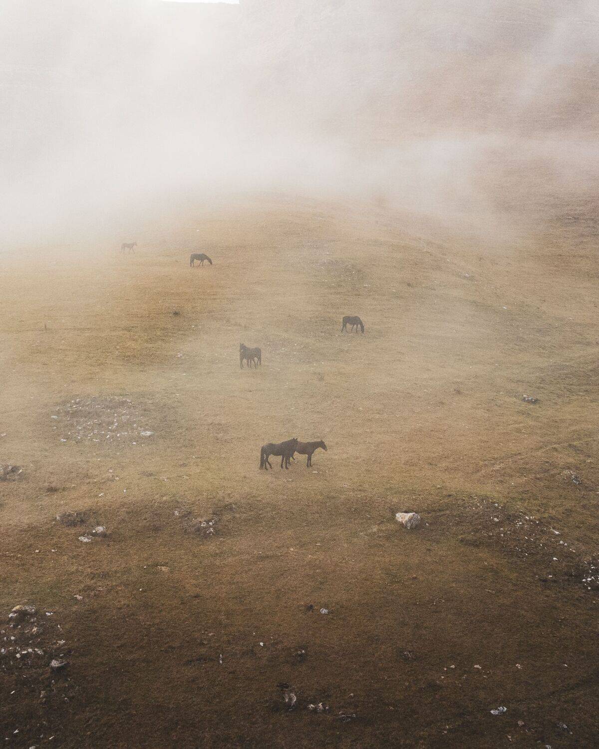 Фотография #11828284