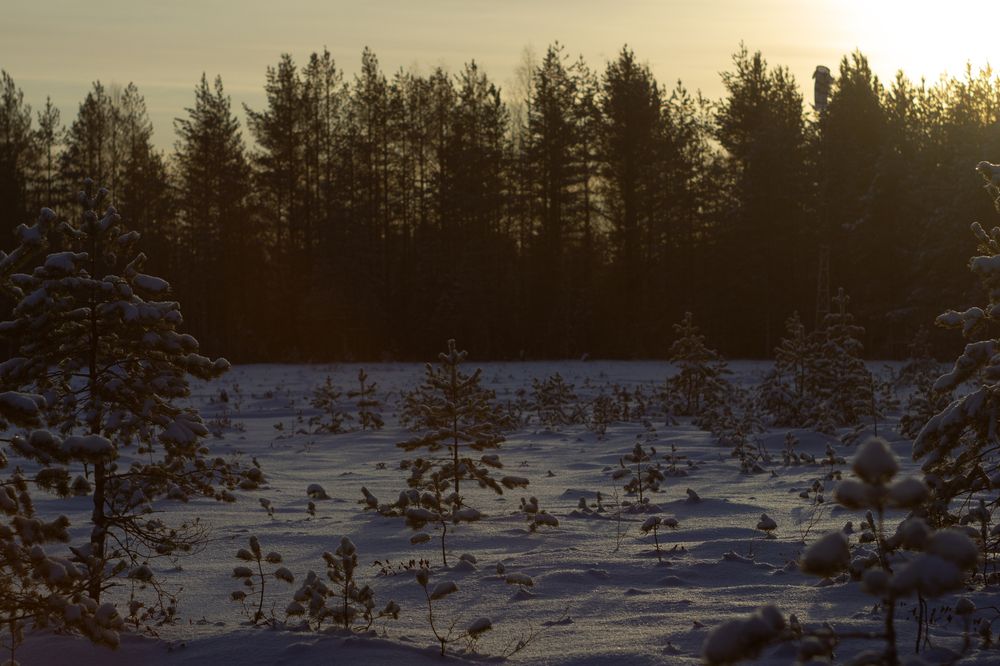 Photograph by Артём Трифонов