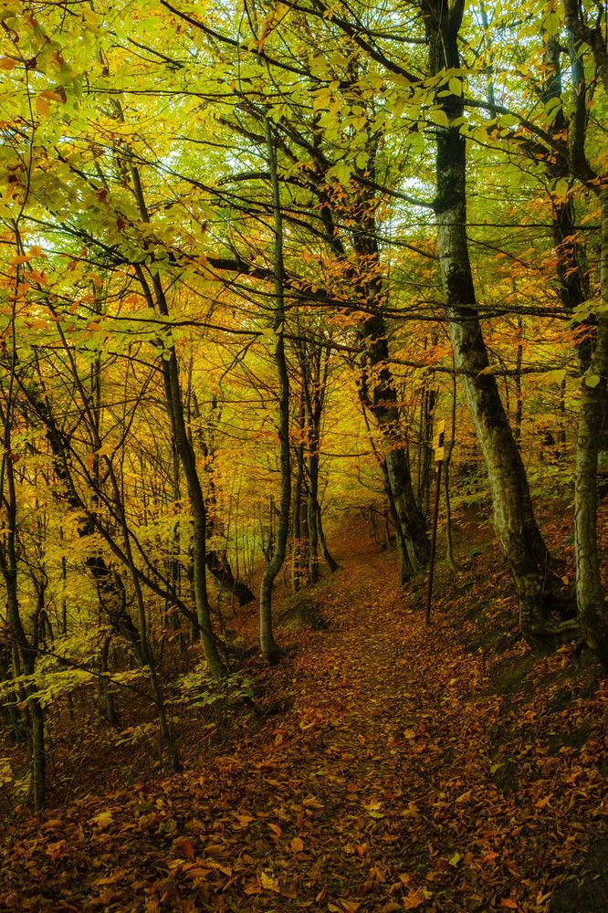 Photograph by Samvel Sargsyan