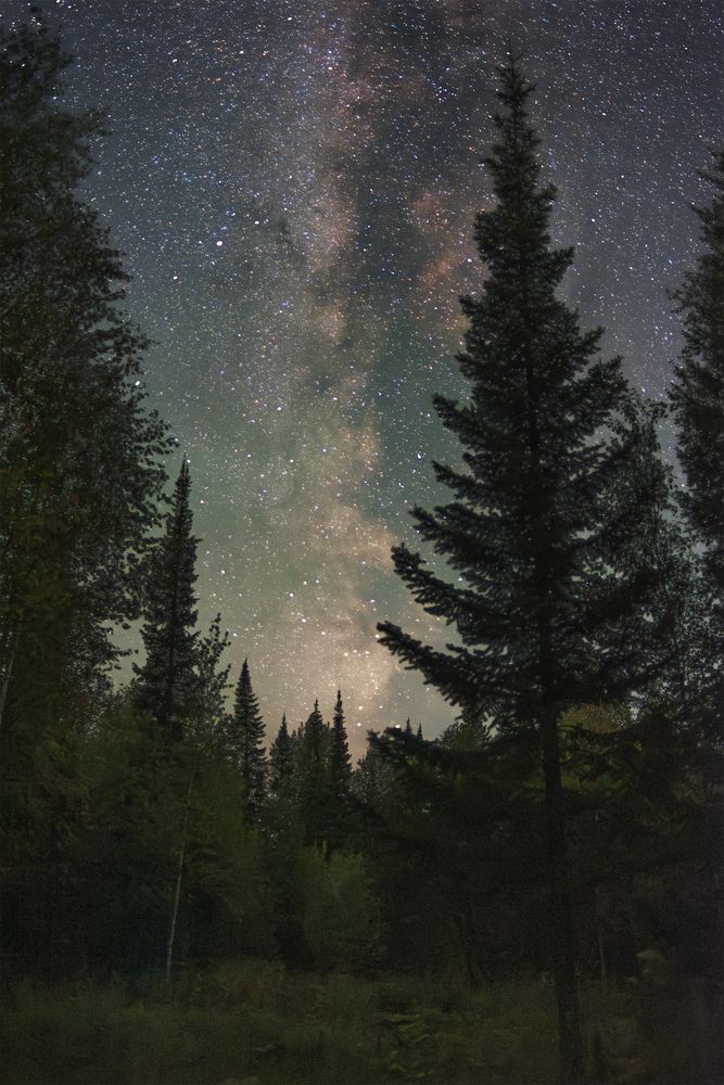 Photograph by Кудашкина Ксения