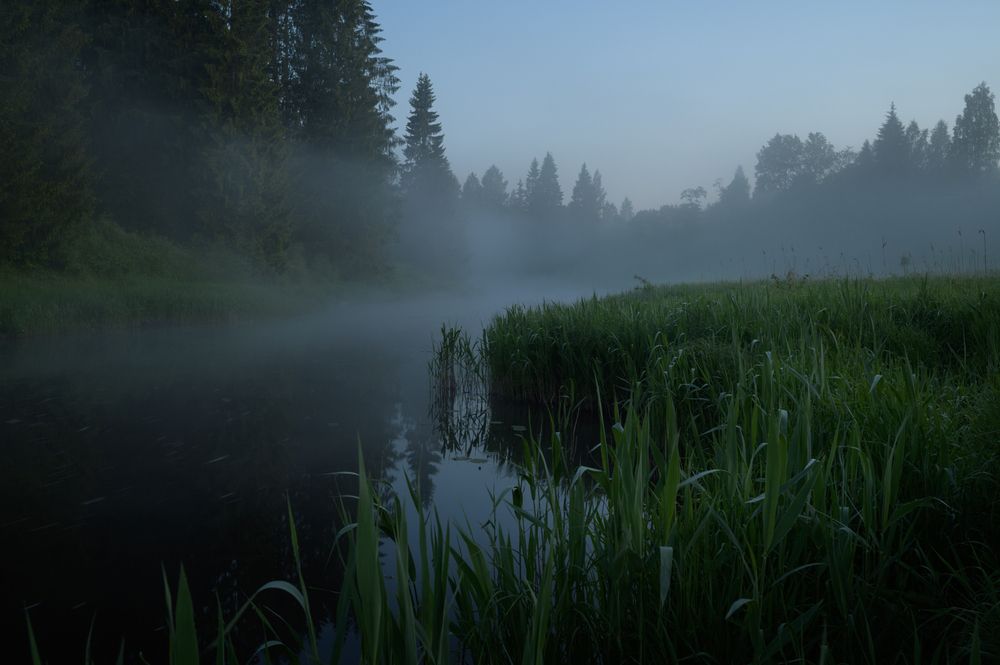 Photograph by Roman Fabrichny