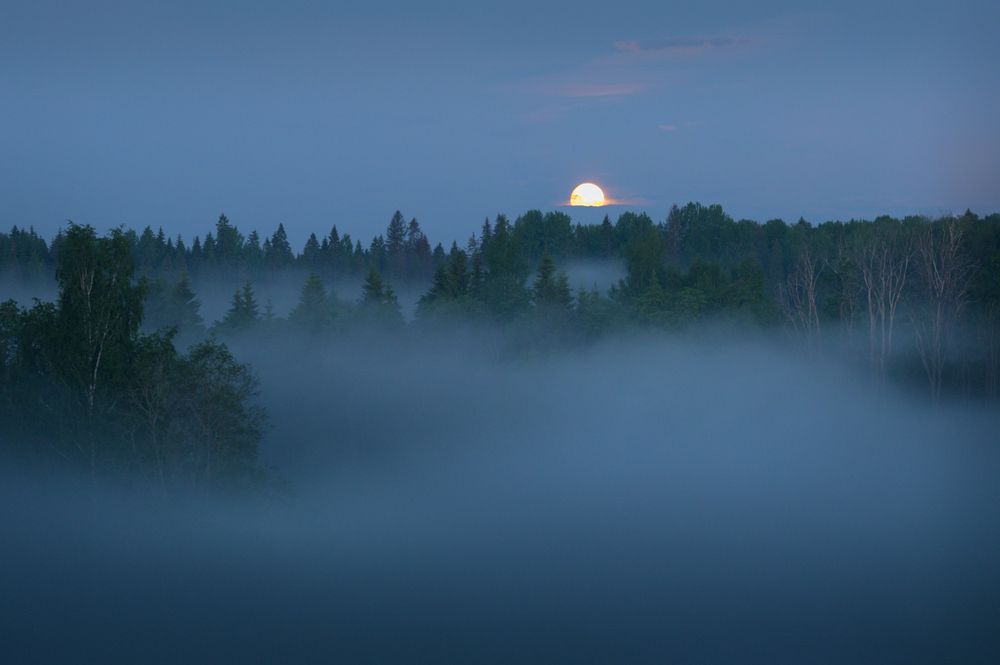 Photograph by Roman Fabrichny