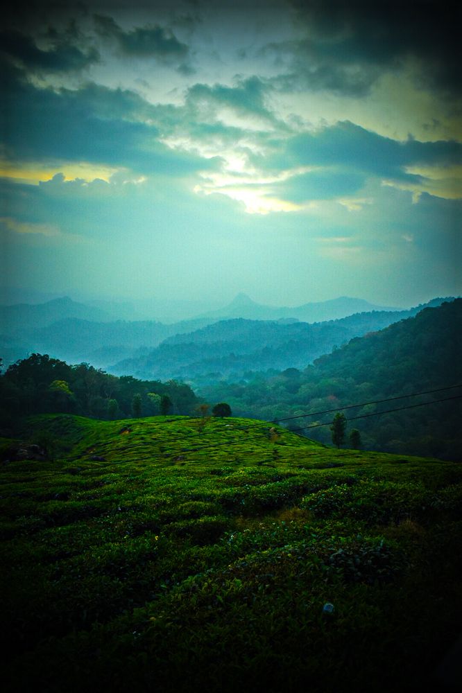 Photograph by Shubham Mahapatro