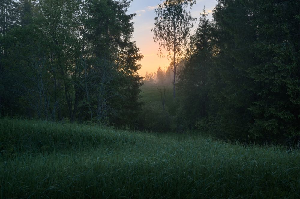 Photograph by Roman Fabrichny