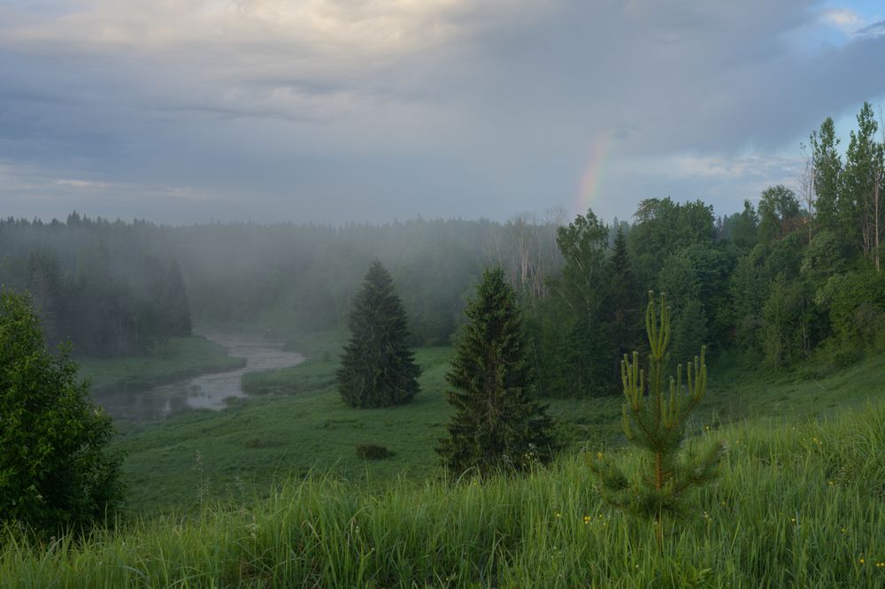 Photograph by Roman Fabrichny