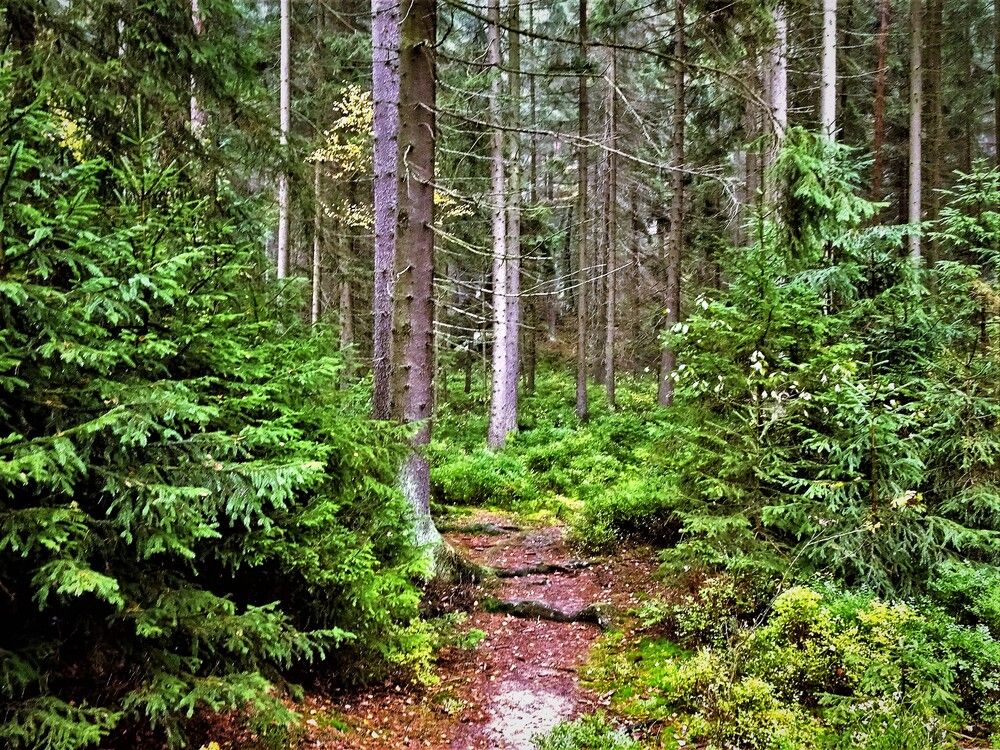 Photograph by Мила Милая