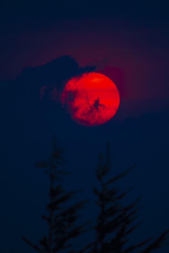 Photograph by Kevin Molano Ph