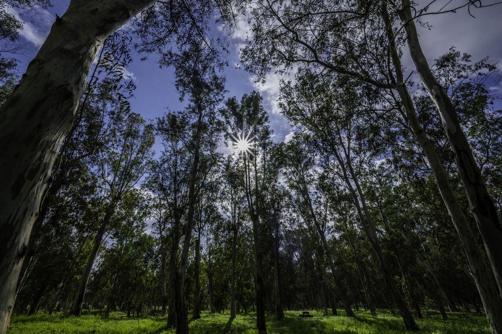 Photograph by yosef abitbul