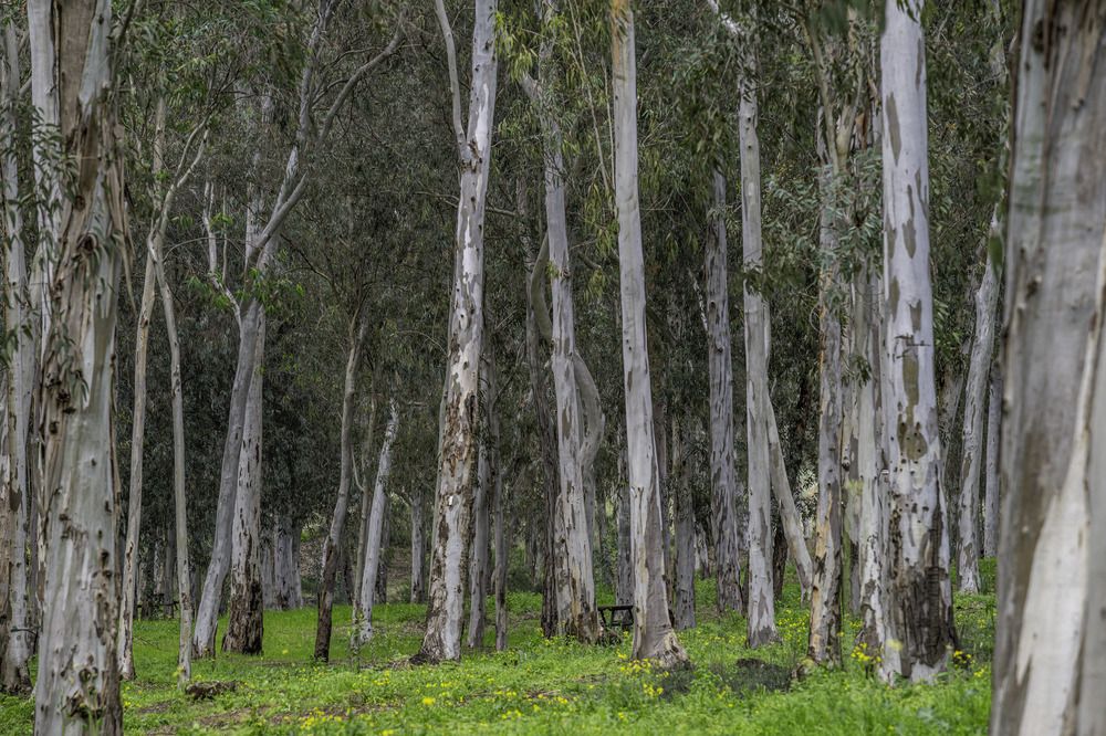 Photograph by yosef abitbul