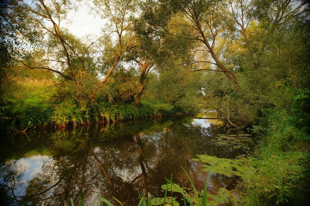 Photograph by Андрей Михайлов