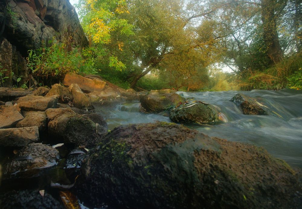 Photograph by Андрей Михайлов