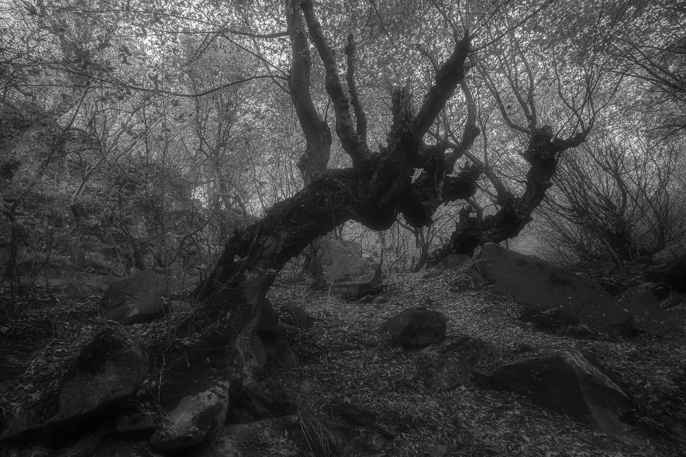 Photograph by Samvel Sargsyan