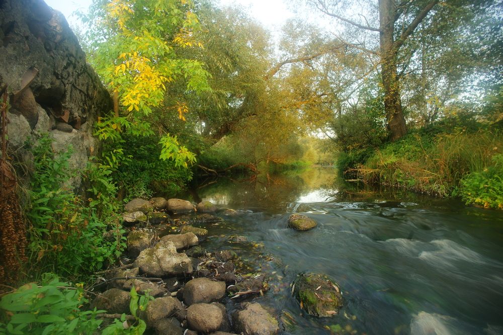 Photograph by Андрей Михайлов