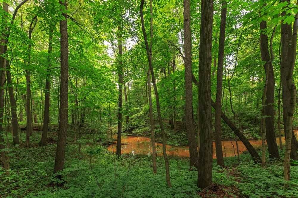 Photograph by Александр Литвинов