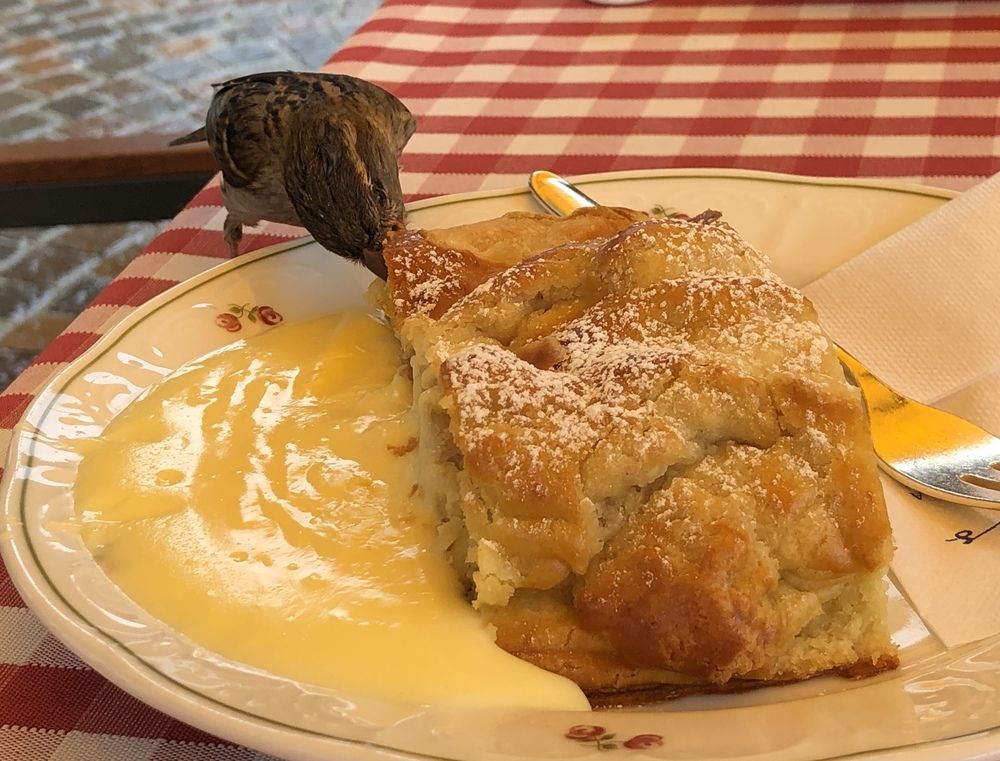 Photograph by Одаренко Ольга