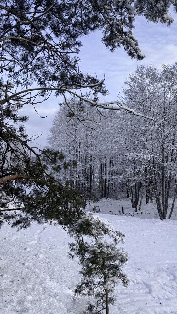 Photograph by Ирина Антипова