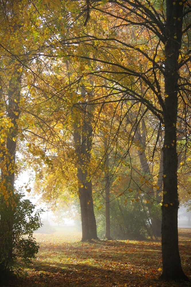 Photograph by ILONA OTRUTSKAYA