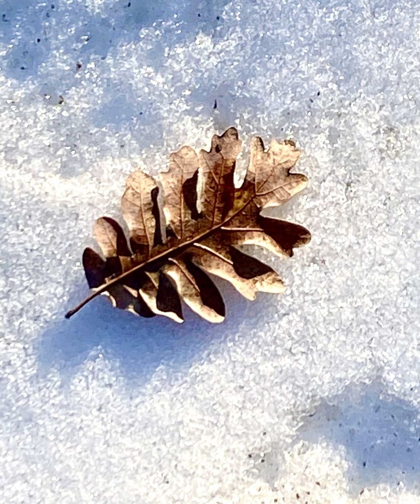 Photograph by Фарида