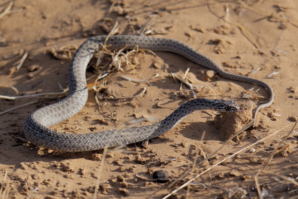 Photograph by Антон Громов