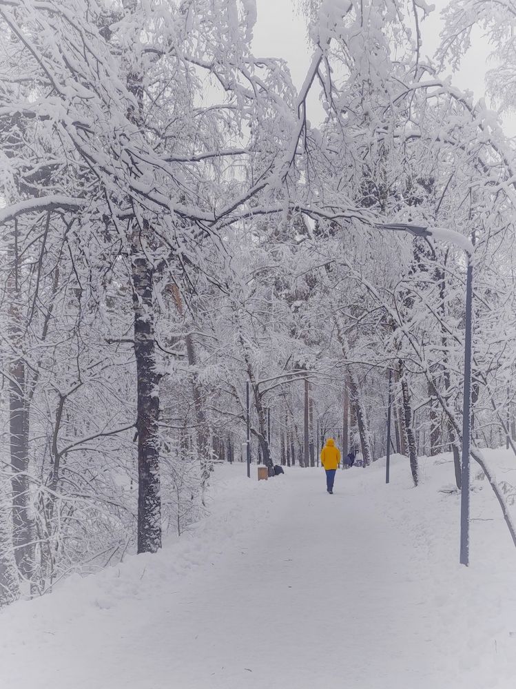 Photograph by Helen Ka