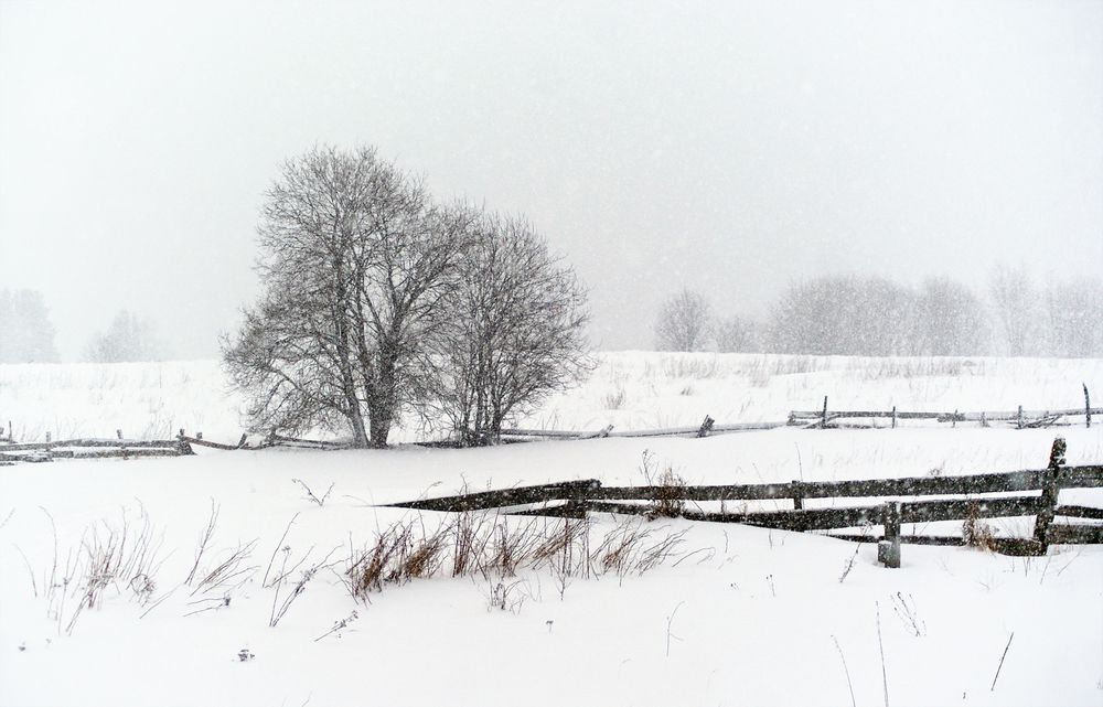 Photograph by Людмила Дубровина