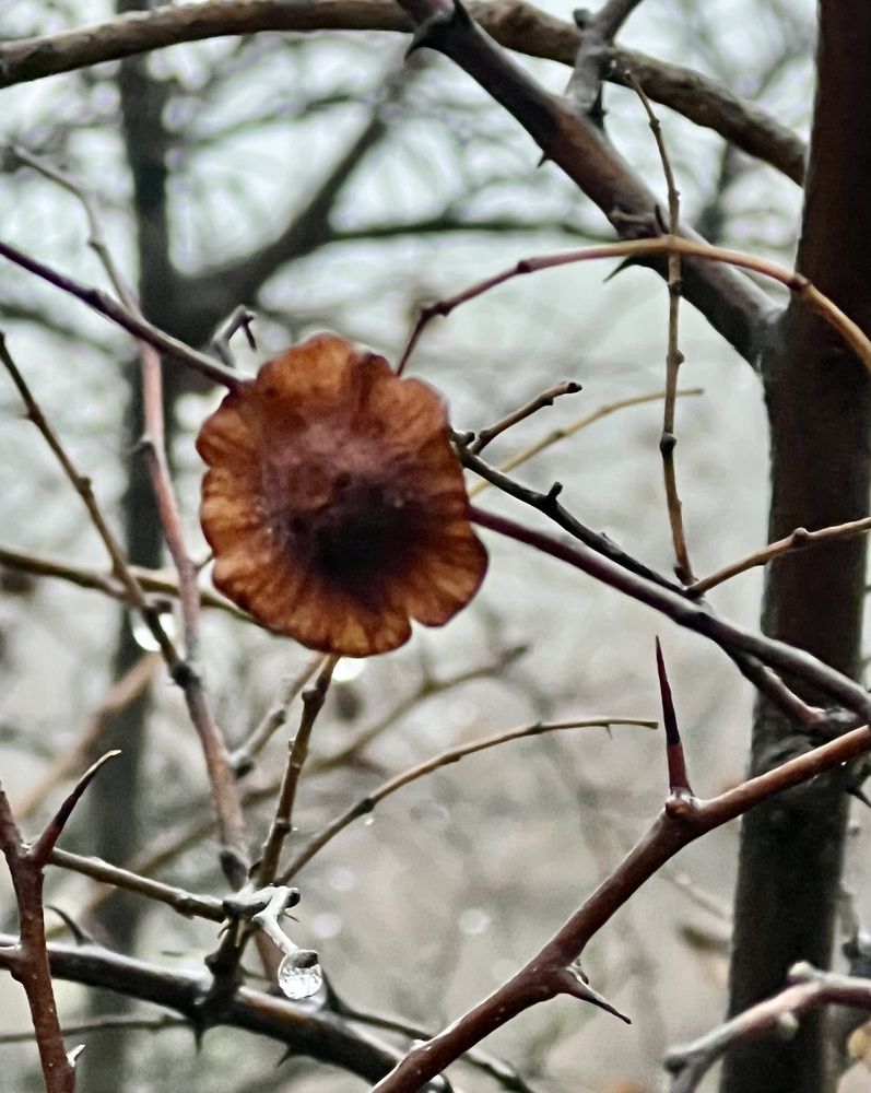 Photograph by Фарида