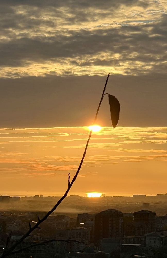 Photograph by Фарида