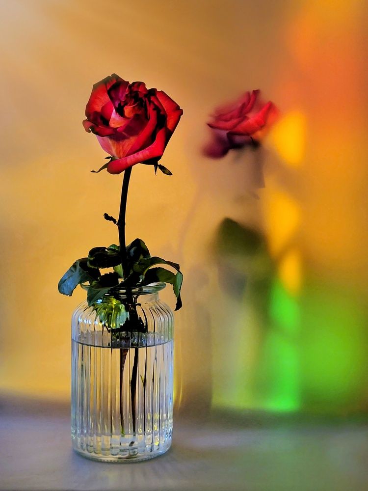 Photograph by Marina Gritchina