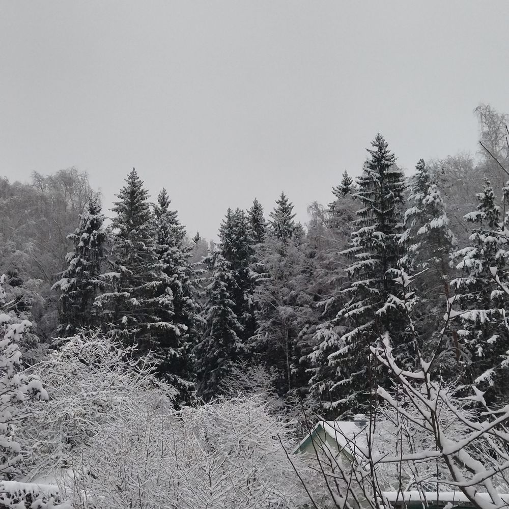 Фотография автора Рузинова Елена