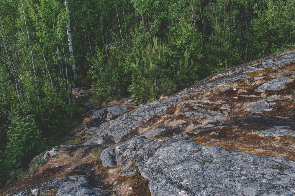 Фотография автора Алексей