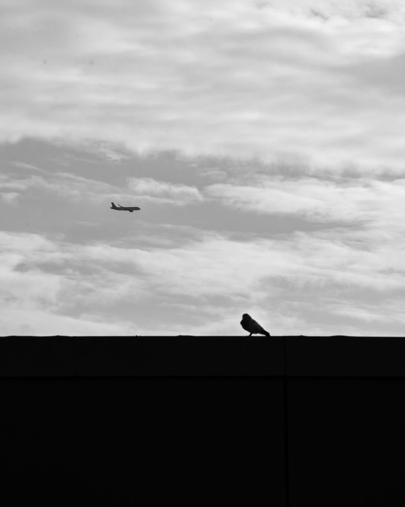 Photograph by DIMITRIOS SIONAKIDIS