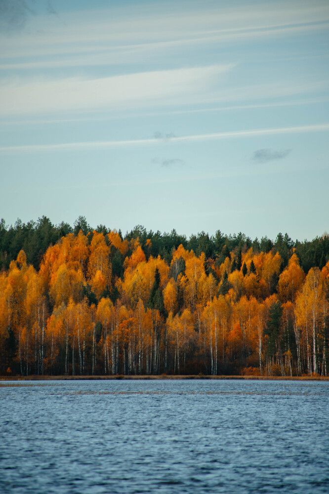 Photograph by Дарья Овчинникова