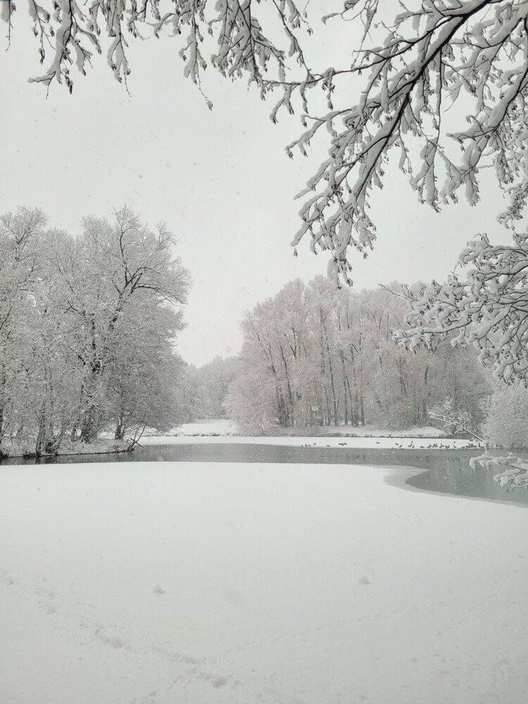 Photograph by Елена