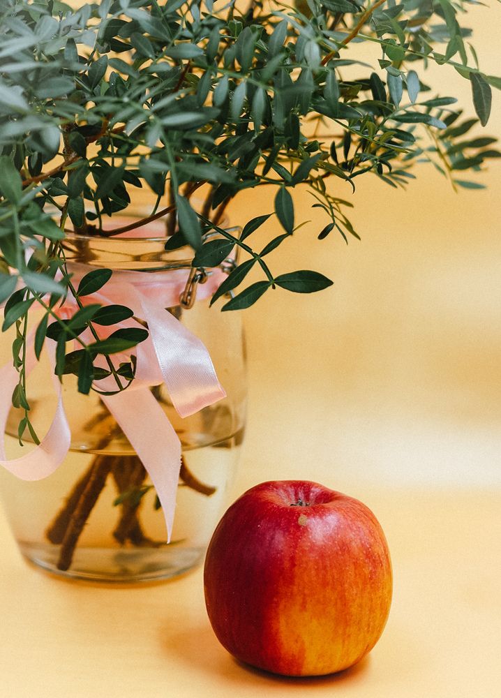 Photograph by Елена Фетисова
