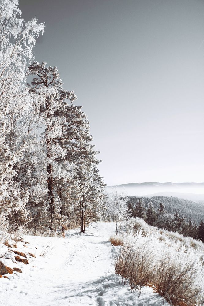 Фотография автора Александр Крапачев