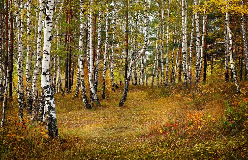 Photograph by Николай Кандауров